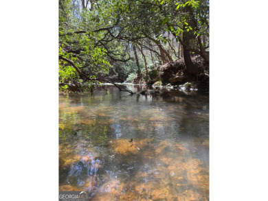 (private lake, pond, creek) Lot For Sale in Cleveland Georgia