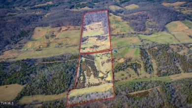 (private lake, pond, creek) Acreage Sale Pending in Eidson Tennessee
