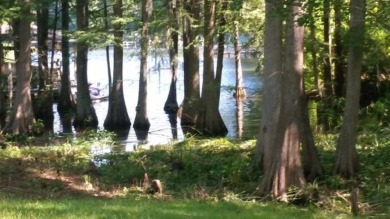 Lake Marion Lot For Sale in Santee South Carolina