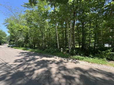 Lot has previous septic plan. ROW to the water. Would be great - photo 4