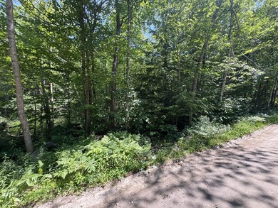 Lot has previous septic plan. ROW to the water. Would be great - photo 5