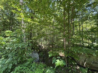 Lot has previous septic plan. ROW to the water. Would be great - photo 6