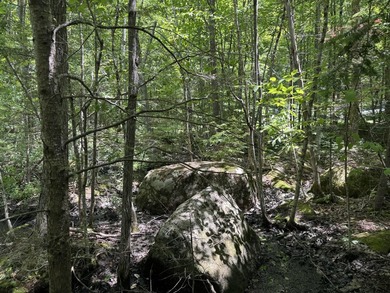 Lot has previous septic plan. ROW to the water. Would be great - photo 7