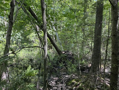 Lot has previous septic plan. ROW to the water. Would be great - photo 8