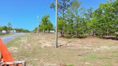 KEATON BEACH LOVERS! Welcome to this 0.69-acre lot in the gated - photo 17