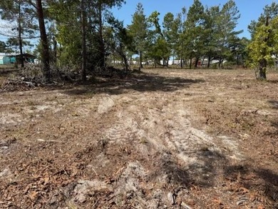 KEATON BEACH LOVERS! Welcome to this 0.69-acre lot in the gated - photo 18