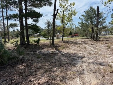 KEATON BEACH LOVERS! Welcome to this 0.69-acre lot in the gated - photo 19