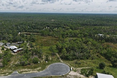 KEATON BEACH LOVERS! Welcome to this 0.69-acre lot in the gated - photo 22