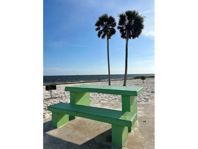 KEATON BEACH LOVERS! Welcome to this 0.69-acre lot in the gated - photo 30