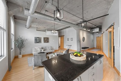 Move-in ready 918 Loft with two parking spaces: one garage, one - photo 7