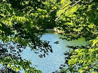 MAYO LAKE! Wonderful views of Mayo Lake from these lake lots on - photo 2