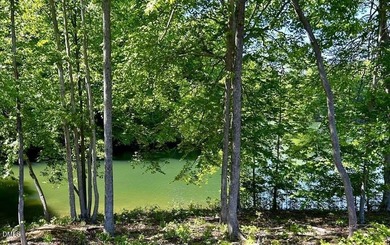 MAYO LAKE! Wonderful views of Mayo Lake from these lake lots on - photo 3