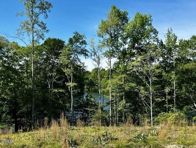 MAYO LAKE! Wonderful views of Mayo Lake from these lake lots on - photo 5