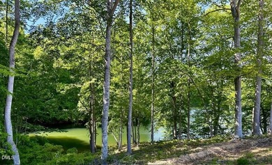 MAYO LAKE! Wonderful views of Mayo Lake from these lake lots on - photo 6
