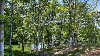 MAYO LAKE! Wonderful views of Mayo Lake from these lake lots on - photo 7