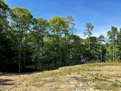 MAYO LAKE! Wonderful views of Mayo Lake from these lake lots on - photo 8