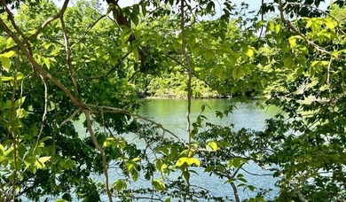 MAYO LAKE! Wonderful views of Mayo Lake from these lake lots on - photo 10