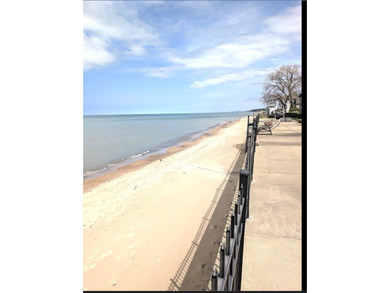A rare offering along coveted Lake Shore Drive, this exceptional - photo 44