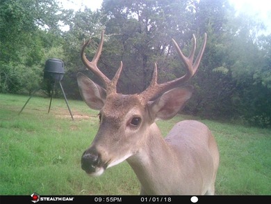 White Bluff is the place to be. This is a great lot!! Come enjoy - photo 3