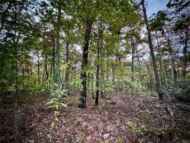 Lake Lot For Sale in Jasper, Georgia