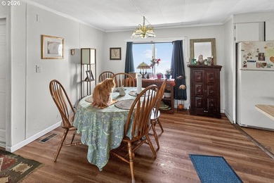 Huge price drop! Home sold as is and in need of some repairs - photo 20