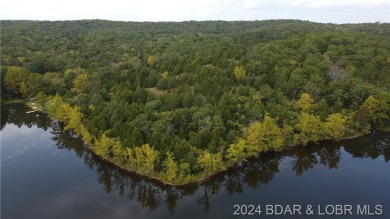 Lake of the Ozarks Acreage For Sale in Edwards Missouri