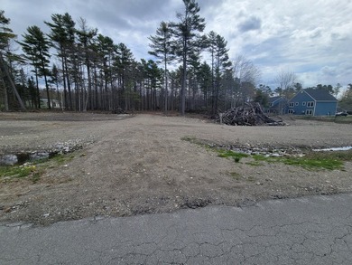 Build your future home on this conveniently located buildable - photo 1