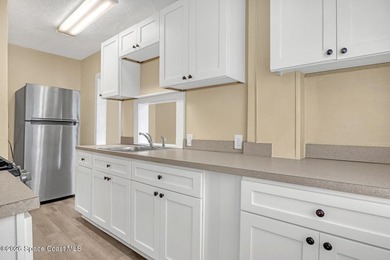 Outstanding investment opportunity in the Eau Gallie Arts - photo 31