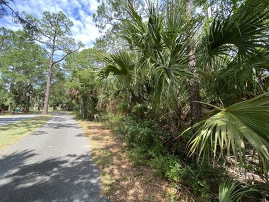 Beautiful corner lot in a gated community, surrounded by - photo 3