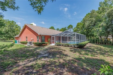 WELL APPOINTED AND BEAUTIFULLY MAINTAINED 3/2/2 POOL HOME on .32 - photo 37