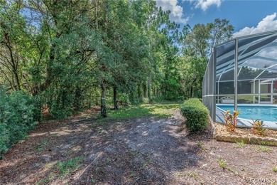WELL APPOINTED AND BEAUTIFULLY MAINTAINED 3/2/2 POOL HOME on .32 - photo 39