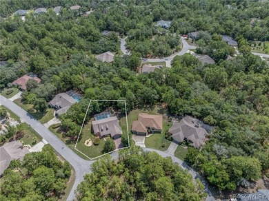 WELL APPOINTED AND BEAUTIFULLY MAINTAINED 3/2/2 POOL HOME on .32 - photo 47