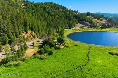 Newly Reduced! Your Private River & Lakeview Paradise. Calling - photo 49