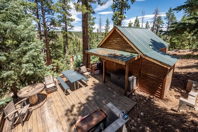 Navajo Lake Home For Sale in Duck Creek Utah