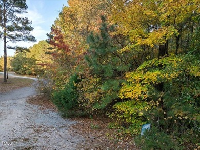 Build your Dream Home near beautiful, serene Lake Gaston! Over 1 - photo 11