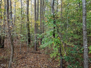 Build your Dream Home near beautiful, serene Lake Gaston! Over 1 - photo 12