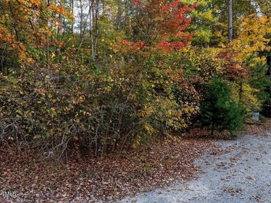 Build your Dream Home near beautiful, serene Lake Gaston! Over 1 - photo 13