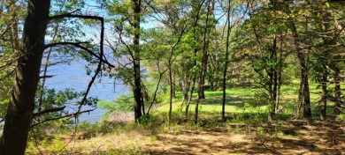 Wooded lot on Lake WI - Lake Lot For Sale in Merrimac, Wisconsin