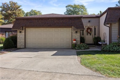 Lake Condo For Sale in Vermilion, Ohio