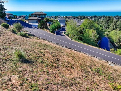 Imagine this corner lot with its beautiful views and your custom - photo 1