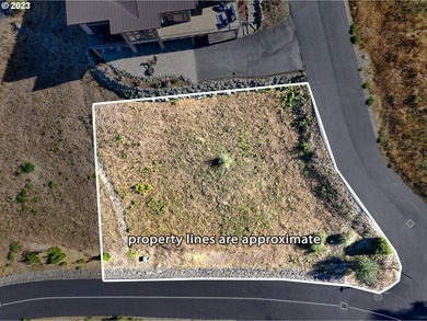 Imagine this corner lot with its beautiful views and your custom - photo 4