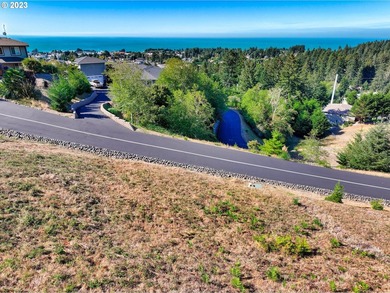 Imagine this corner lot with its beautiful views and your custom - photo 5