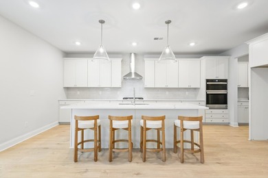Welcome to 705 Maynard Lane, a brand-new, never-lived-in home in - photo 16