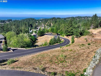 Imagine this corner lot with its beautiful views and your custom - photo 7