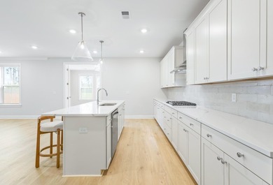 Welcome to 705 Maynard Lane, a brand-new, never-lived-in home in - photo 20