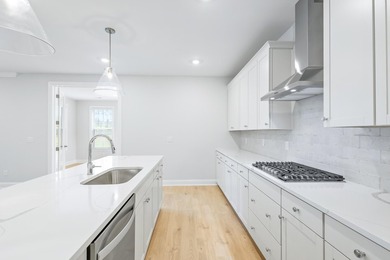Welcome to 705 Maynard Lane, a brand-new, never-lived-in home in - photo 21