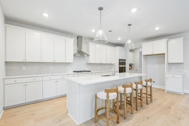 Welcome to 705 Maynard Lane, a brand-new, never-lived-in home in - photo 24