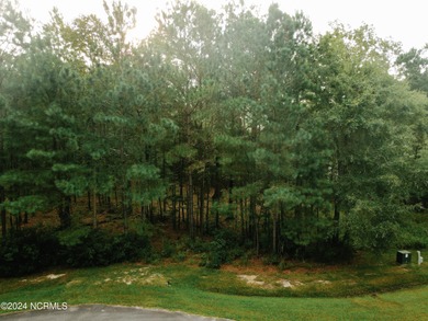 Pamlico River Lot For Sale in Belhaven North Carolina