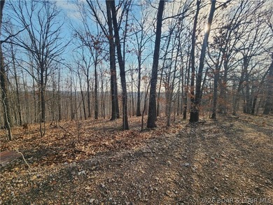 This scenic property features high ridges with incredible views - photo 15