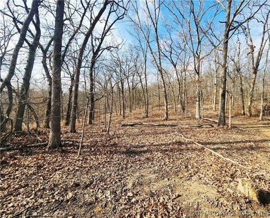 This scenic property features high ridges with incredible views - photo 17